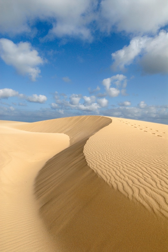 Photo:  Boa Vista sand dunes by the sea